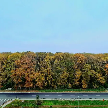 Forest View - Eagle's Nest Timisoara