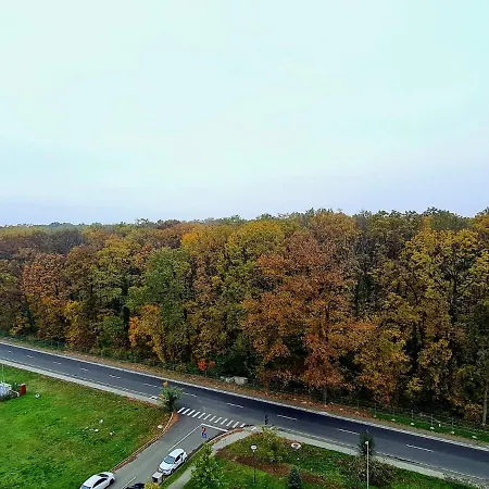Apartment Forest View - Eagle's Nest *