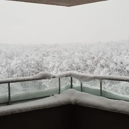 Forest View - Eagle's Nest Apartment *